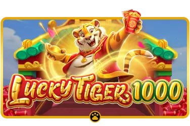 8855 bet